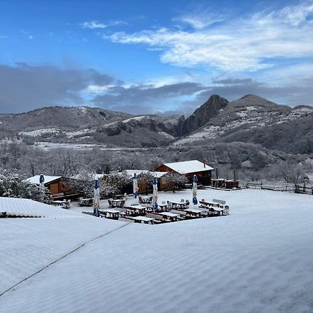 Pensiunea Bodrogeni Poiana Aiudului Extérieur photo