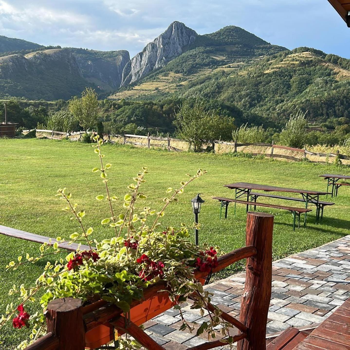 Pensiunea Bodrogeni Poiana Aiudului Extérieur photo