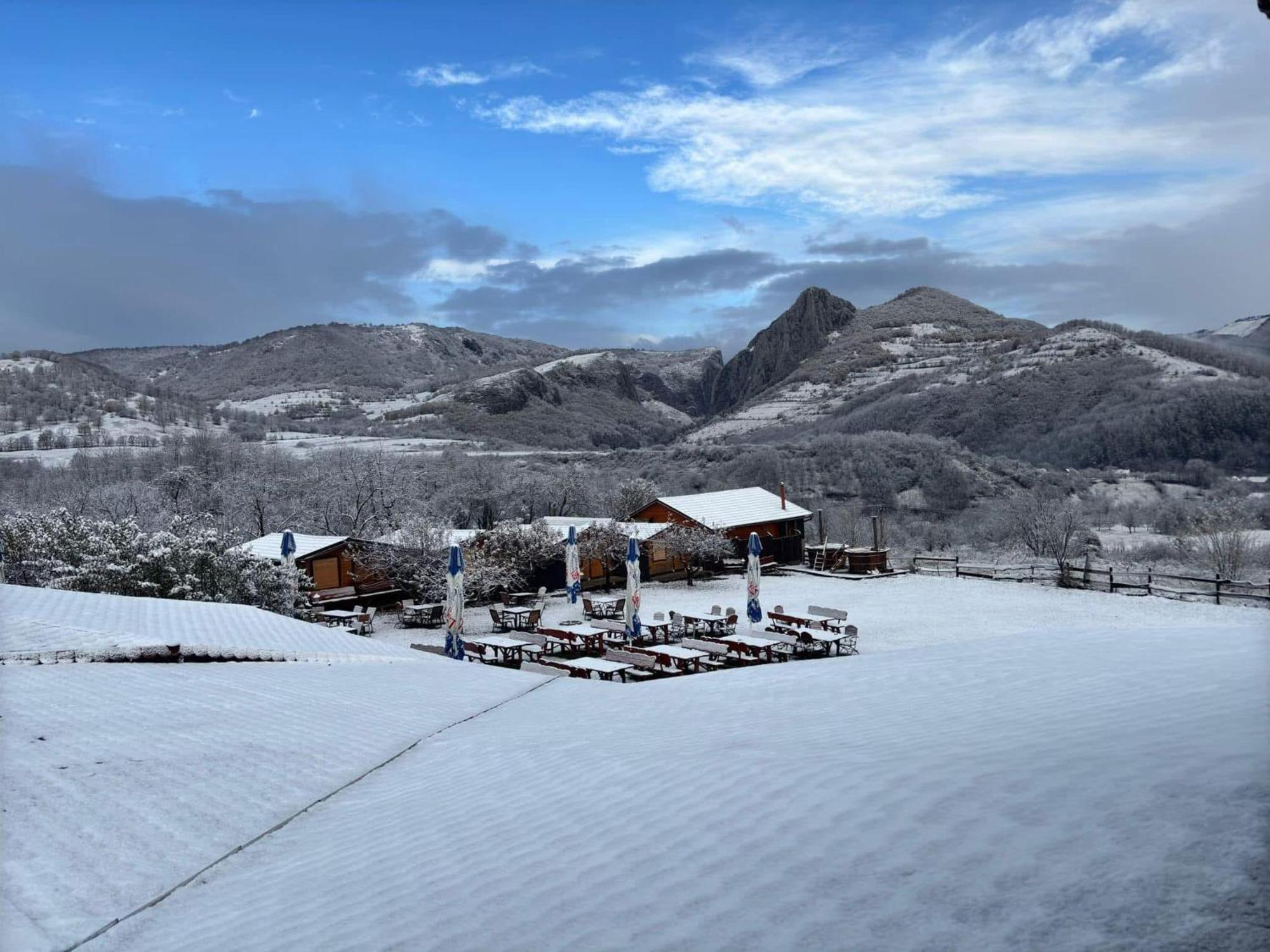 Pensiunea Bodrogeni Poiana Aiudului Extérieur photo